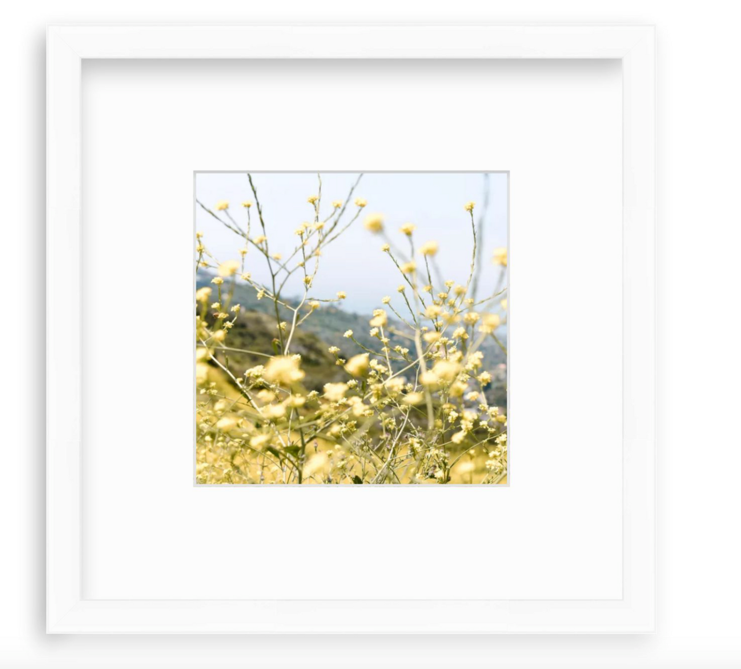 "Laguna Yellow"