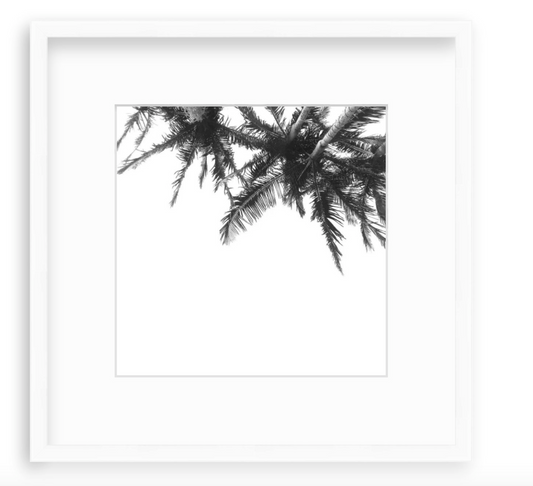 "Palms"